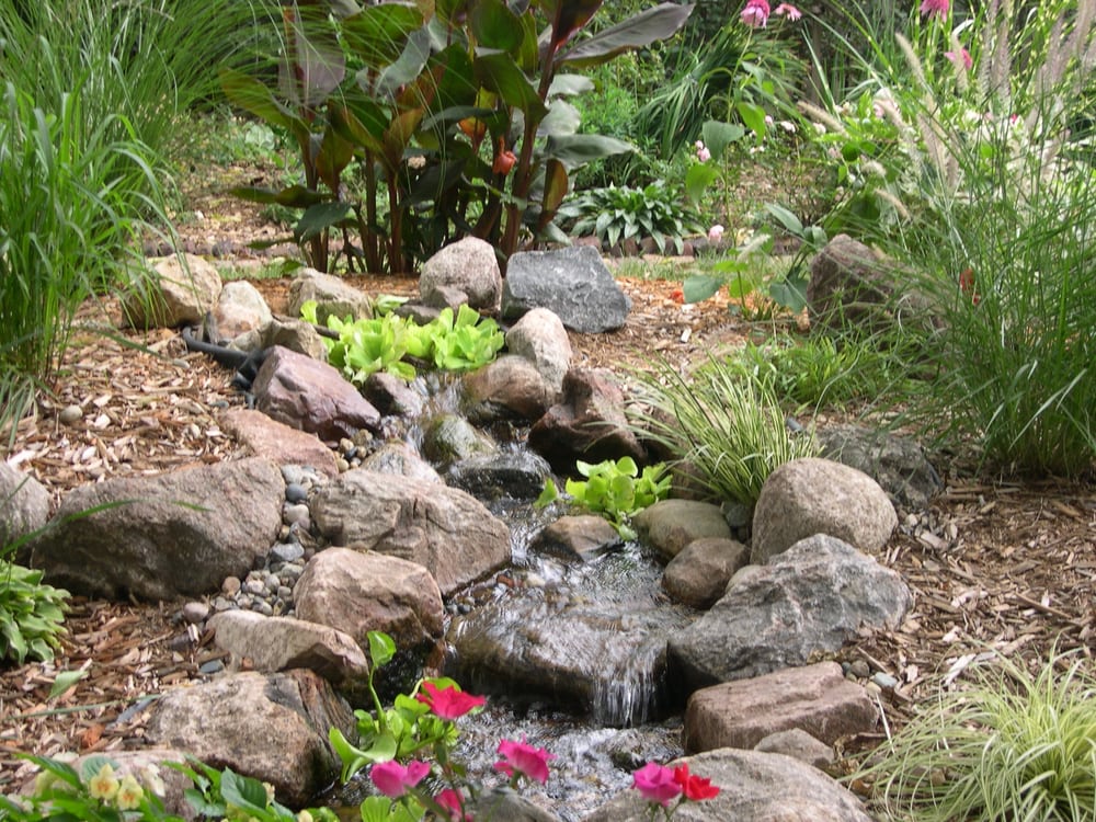 Photo of Just Add Water