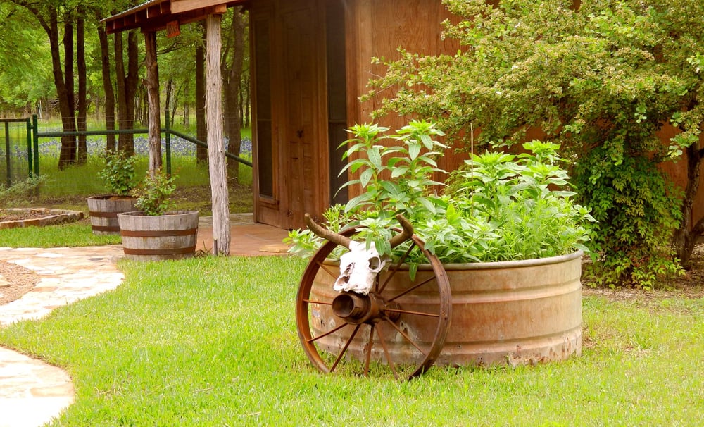 Photo of The Rising Star Ranch Events & Catering