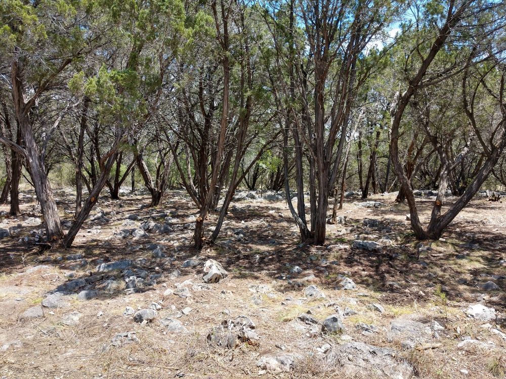 Photo of Zack's Landscaping