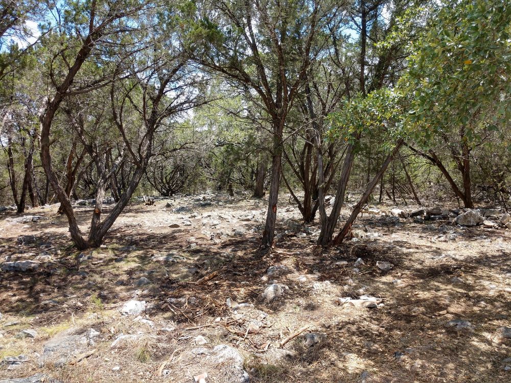 Photo of Zack's Landscaping