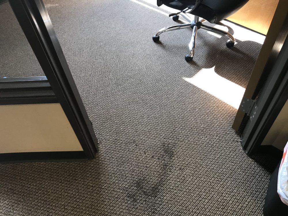 Photo of Raging Eagles Carpet Cleaning