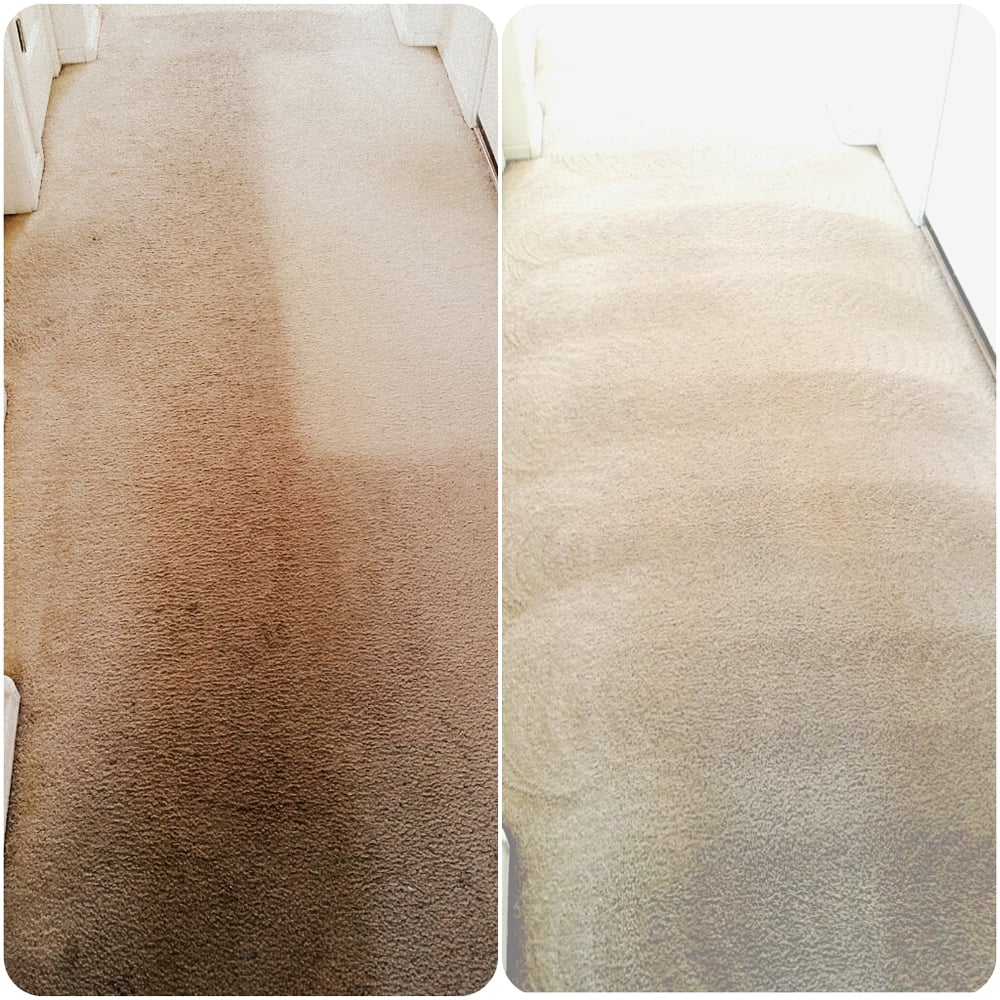 Photo of Phoenix Arizona Carpet Cleaning