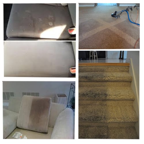 Photo of Phoenix Arizona Carpet Cleaning
