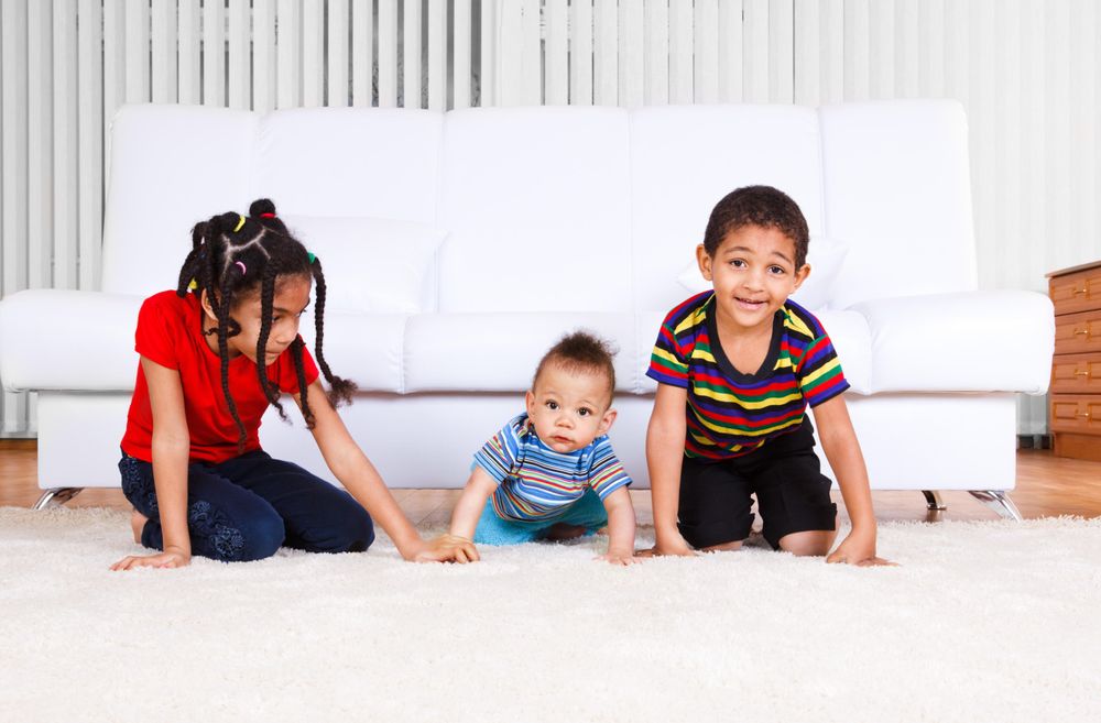 Photo of All Dimensions Floor Care