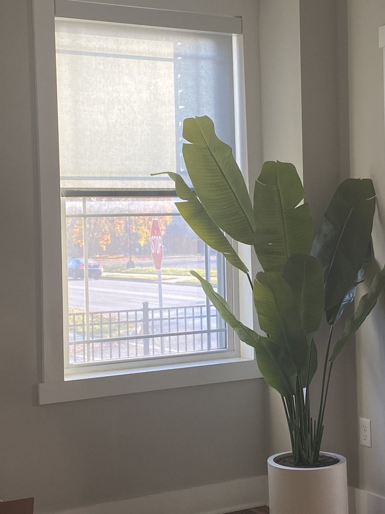 Photo of The Window Valet