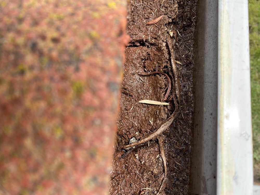 Photo of Gutter Guru