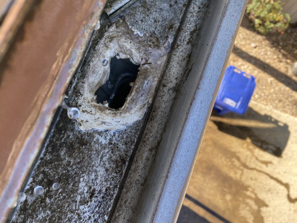 Photo of Gutter Guru