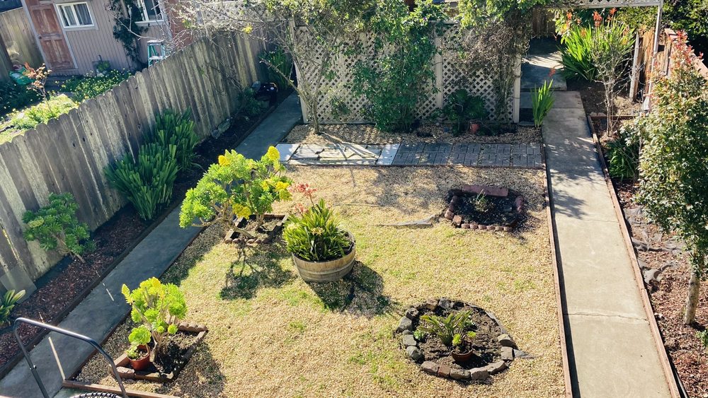 Photo of Discount Clean-Up Gardening