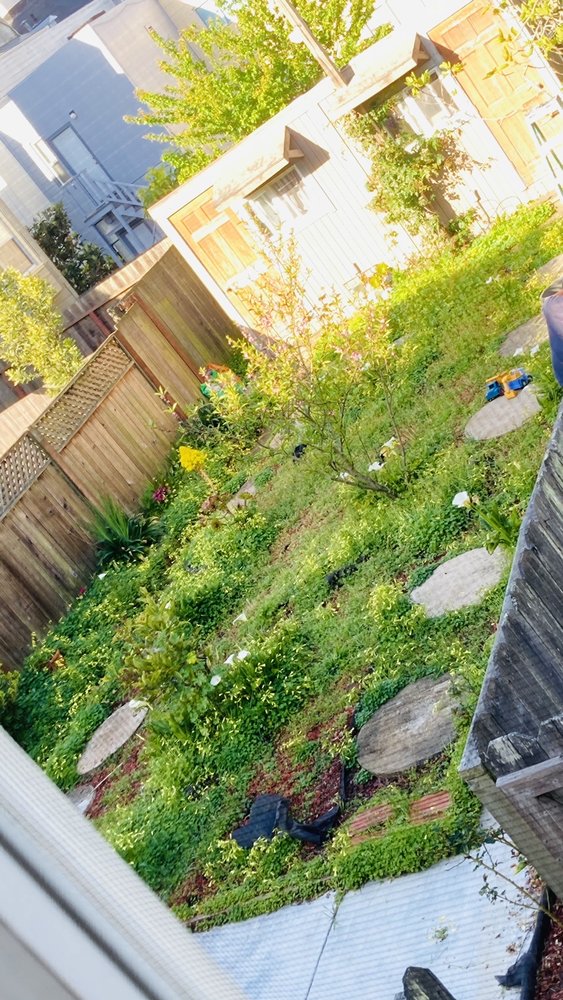 Photo of Discount Clean-Up Gardening