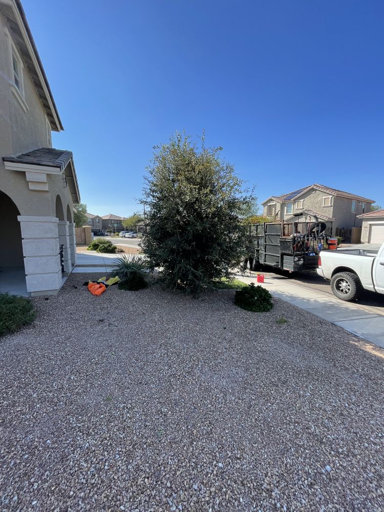 Photo of Tlacuache Landscaping