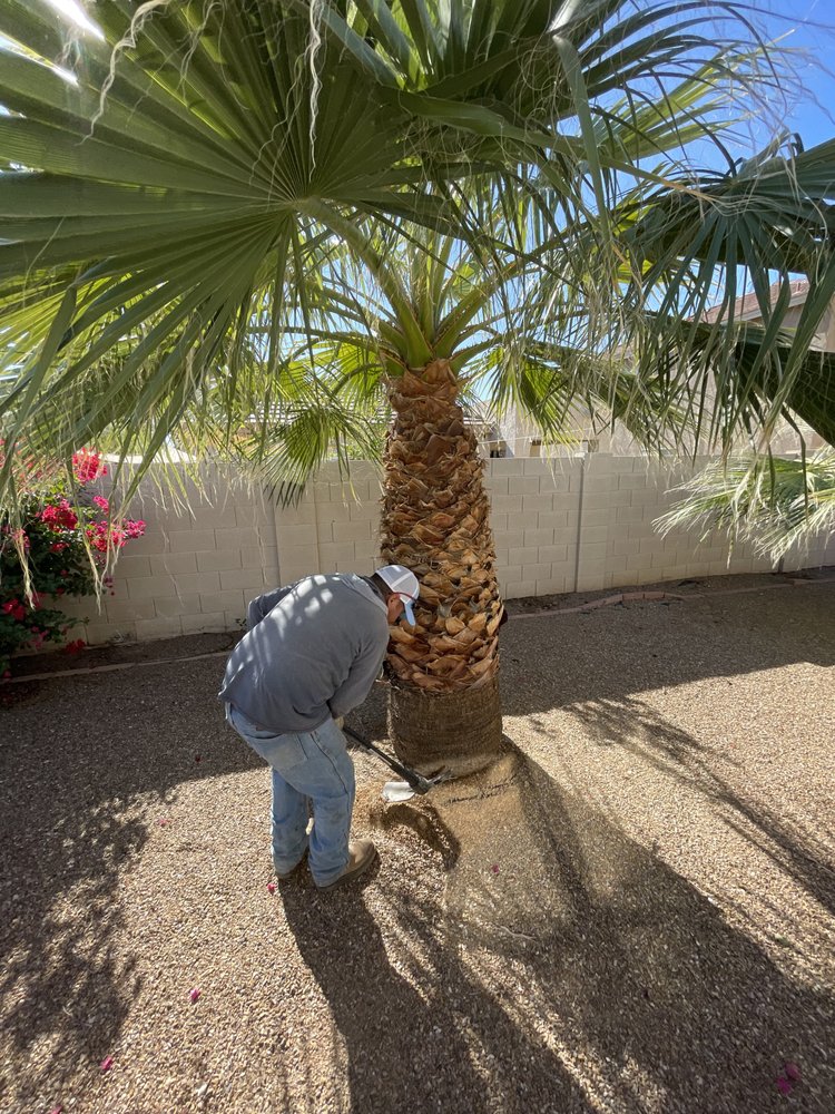 Photo of Tlacuache Landscaping