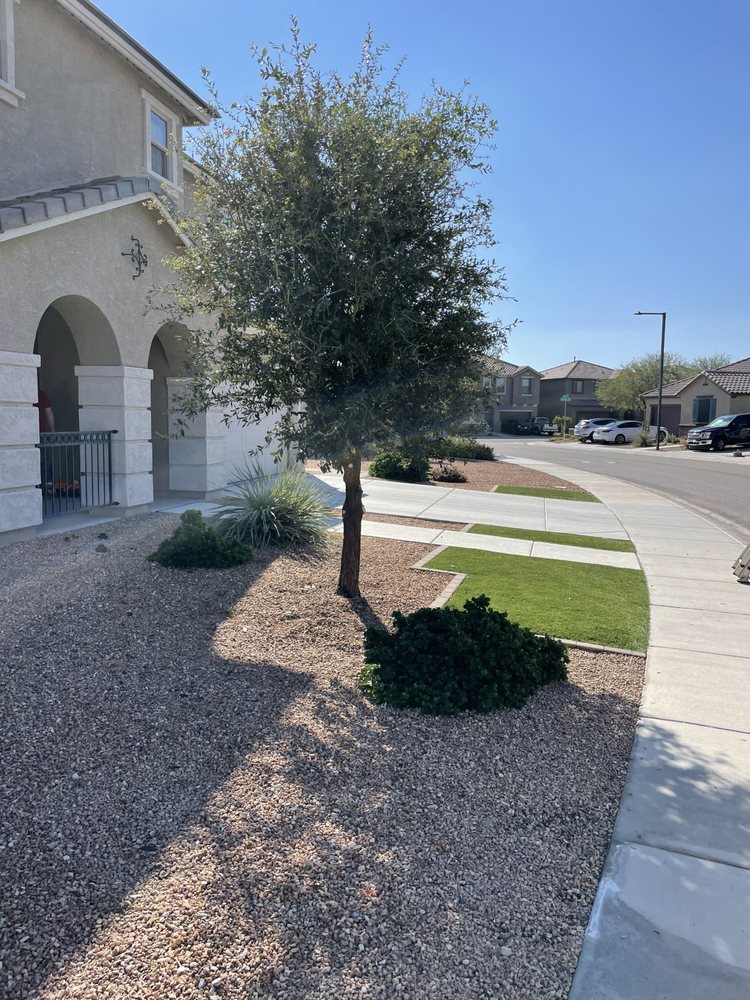 Photo of Tlacuache Landscaping