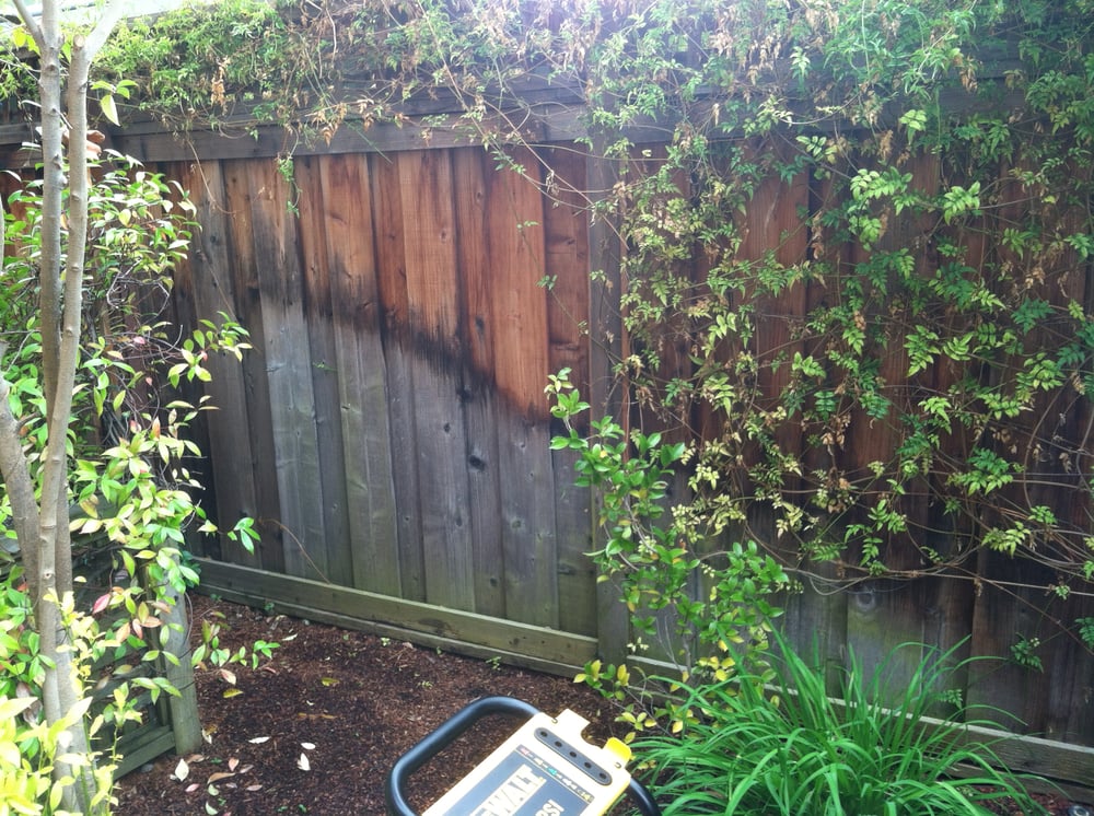 Photo of Professional Power Washing