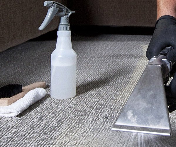 Photo of Carpet Plus