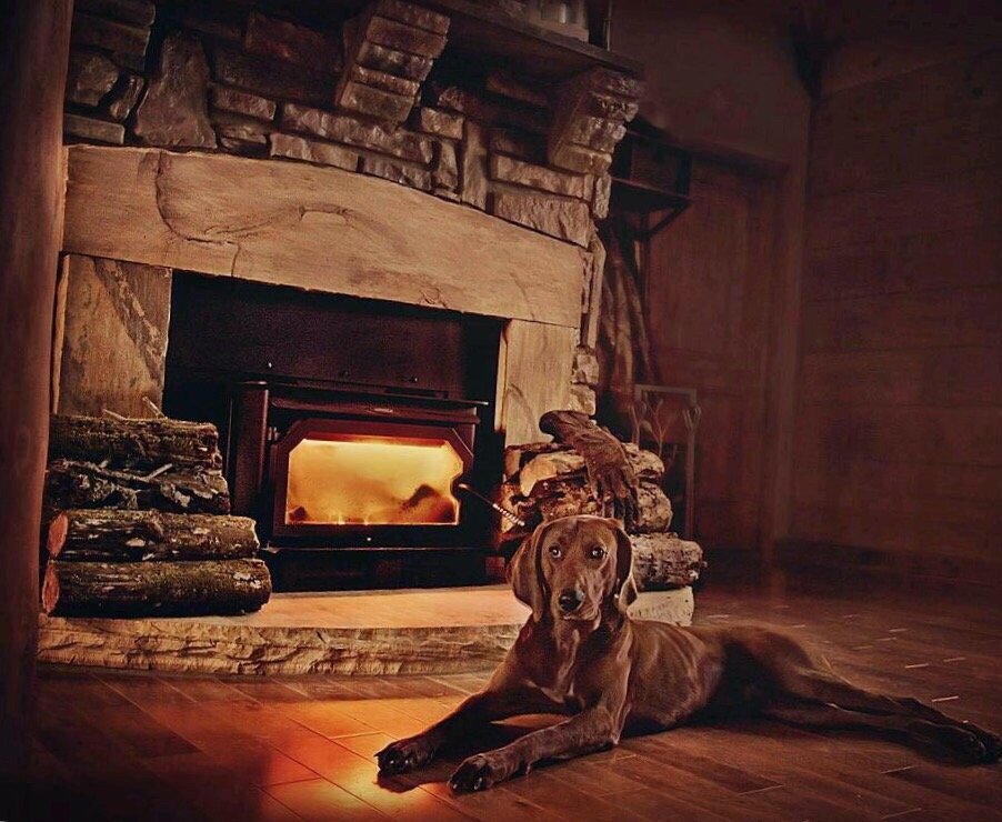 Photo of Country Oak & Stoves