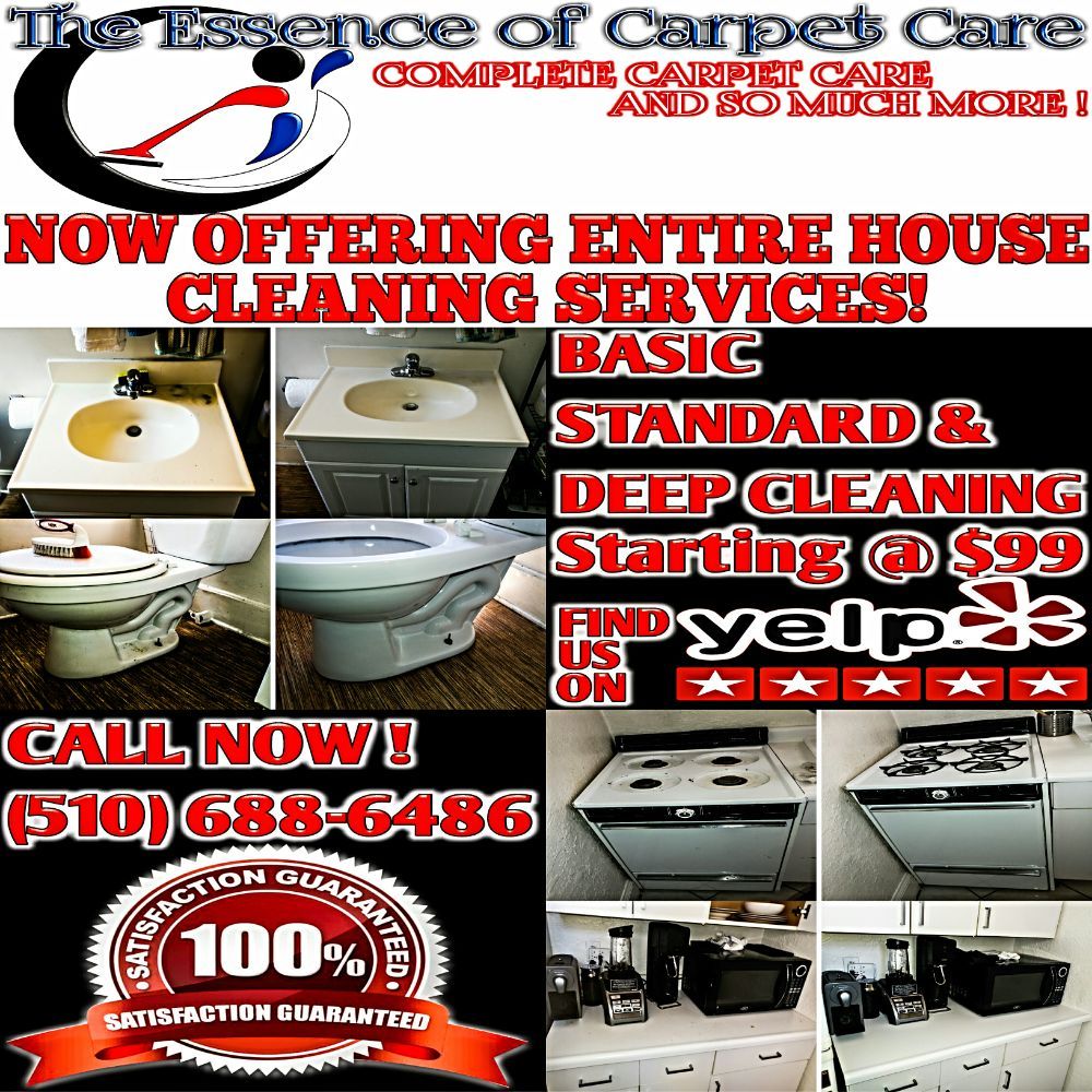 Photo of The Essence Of Carpet Care
