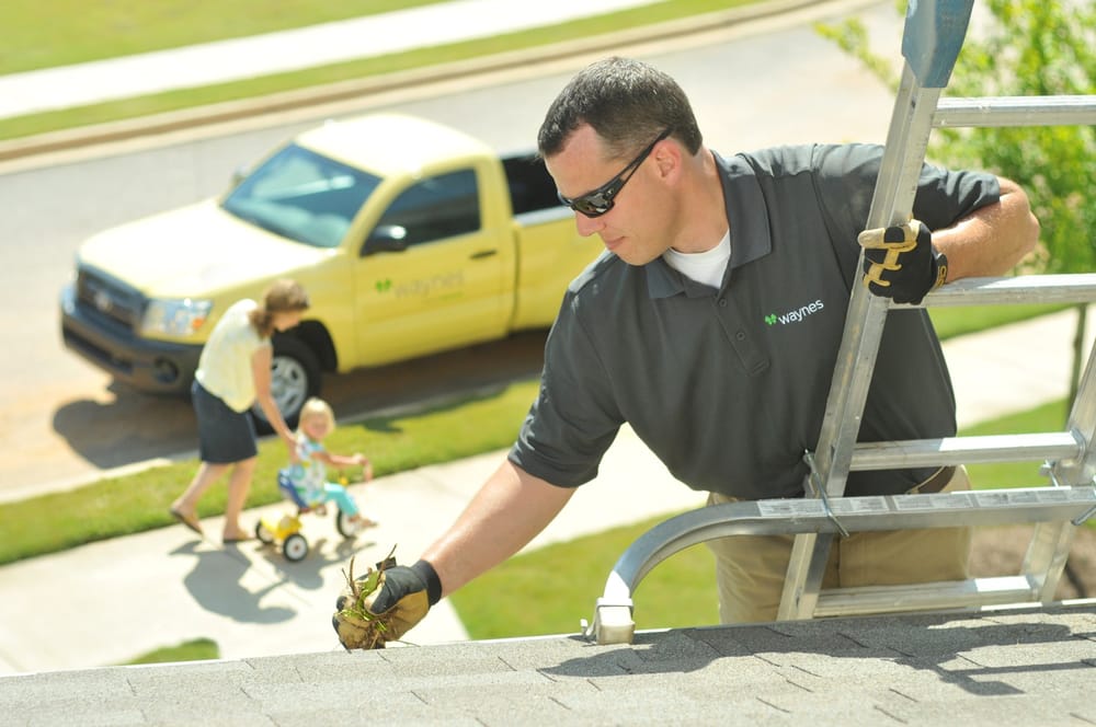 Photo of Waynes Pest Control