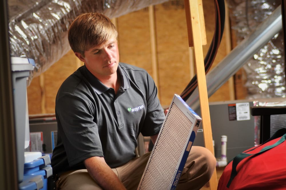 Photo of Waynes Pest Control