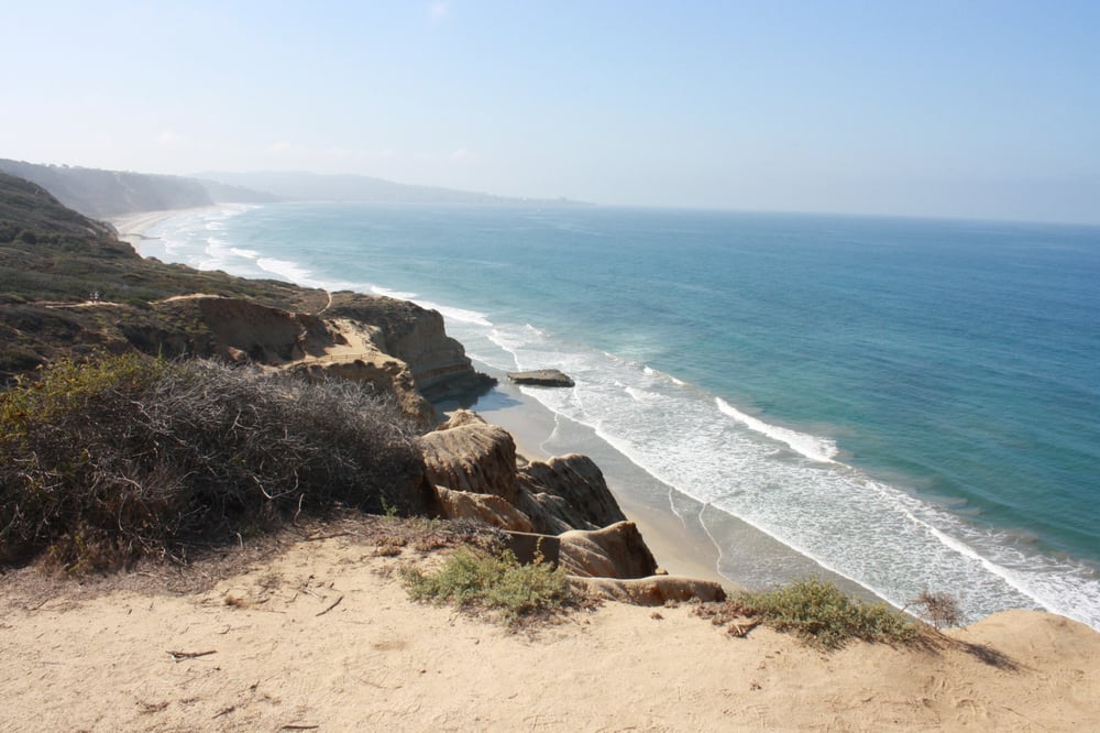 Photo of Shauna Harrel - Coastal Premier Properties