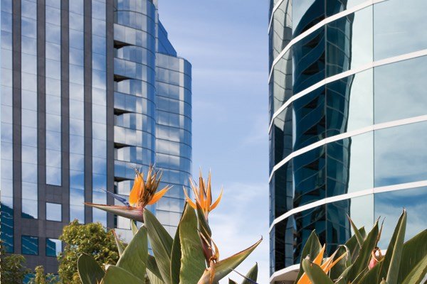 Photo of Naylor Financial Group