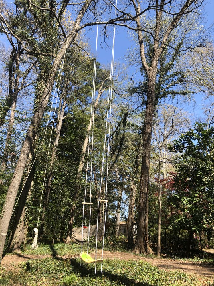 Photo of Treehouse Experts
