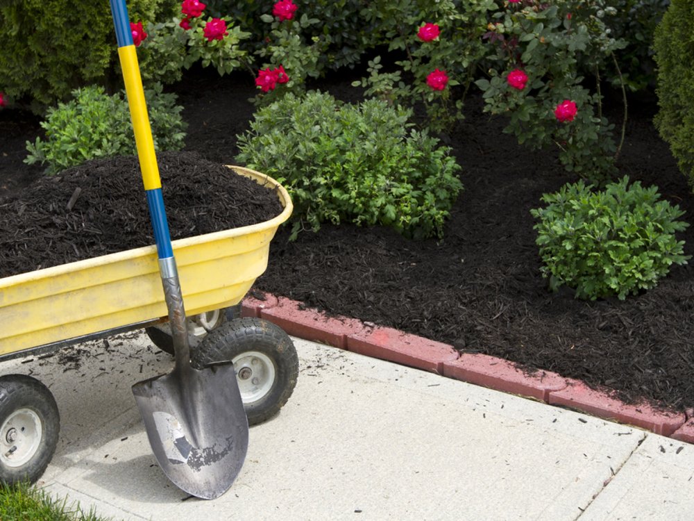 Photo of M&T Landscaping and Development