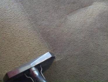 Photo of A Step Above Carpet and Flooring Care