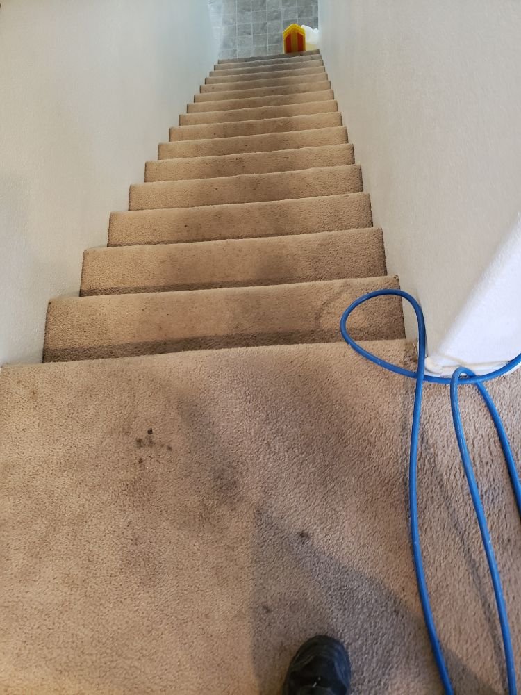 Photo of Las Vegas Steam Cleaning