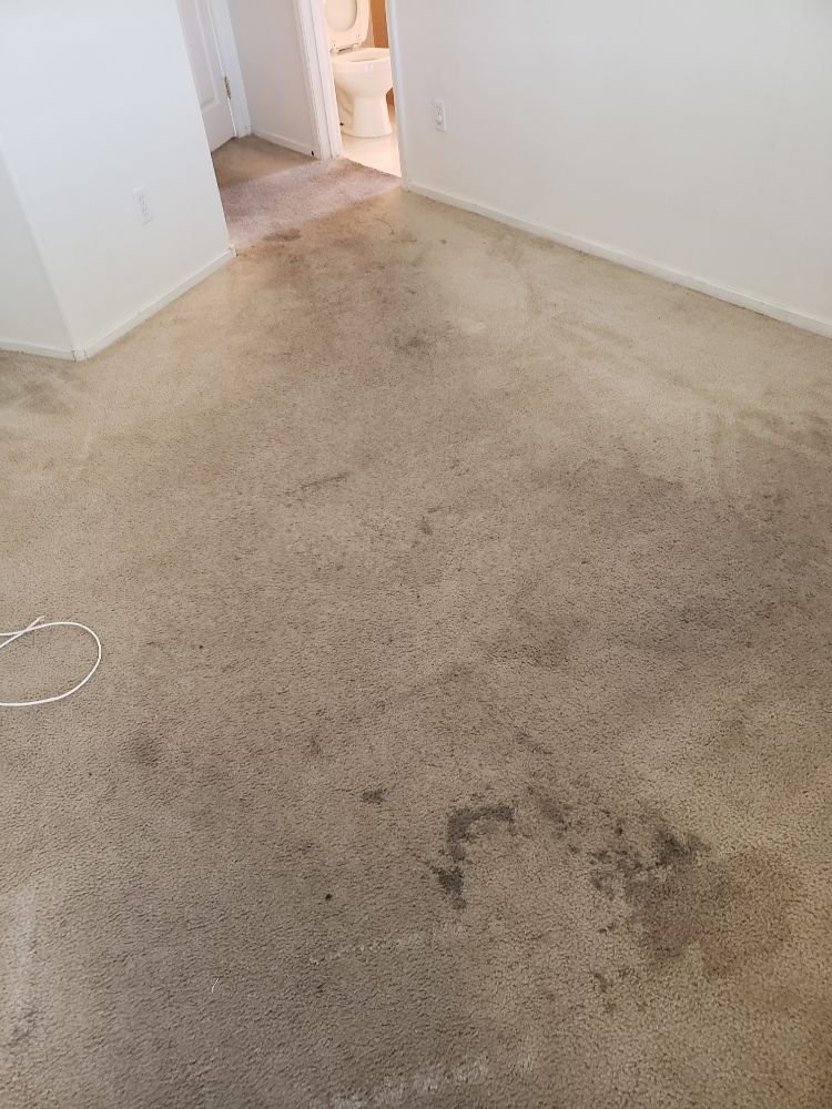 Photo of Las Vegas Steam Cleaning
