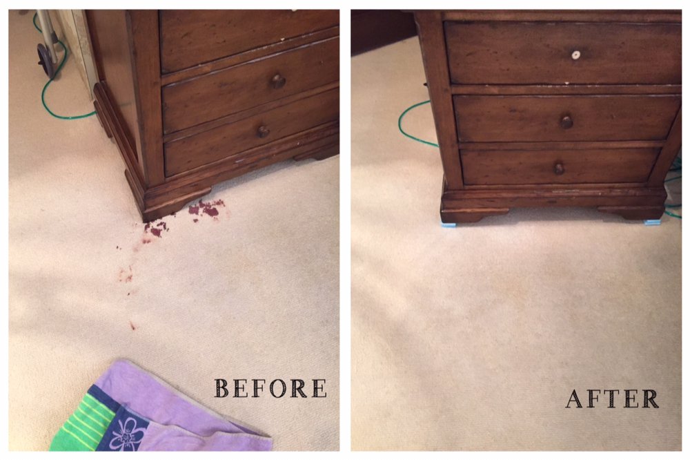 Photo of Beacon Carpet Cleaning, Inc.