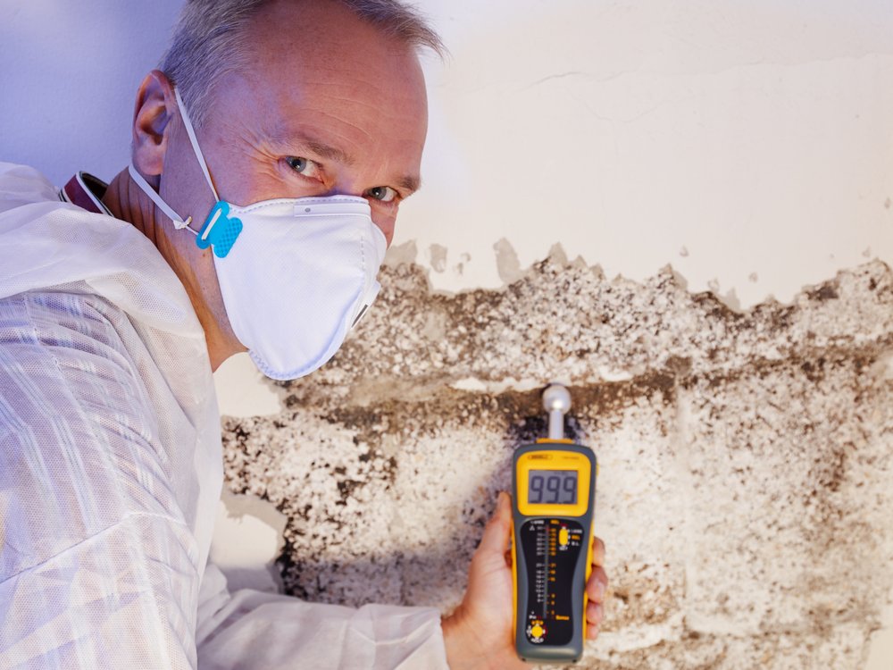 Photo of 411 Water Removal Services
