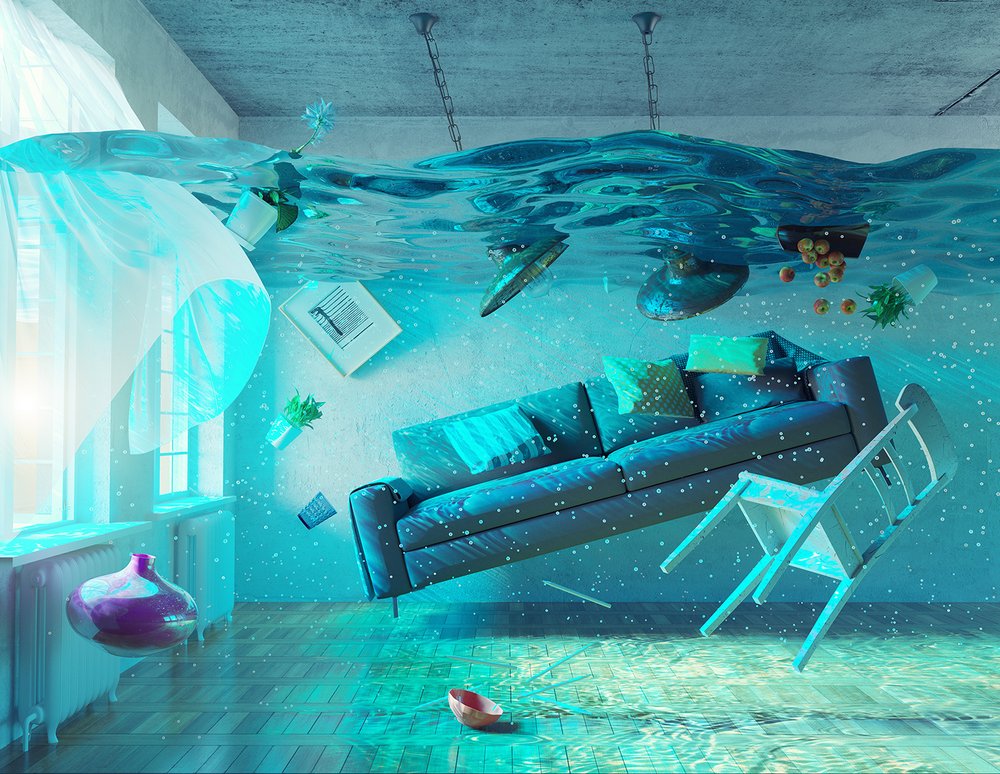 Photo of 411 Water Removal Services