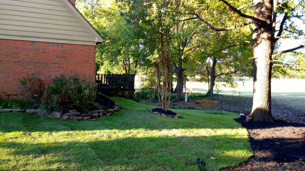 Photo of All Memphis Lawn Service