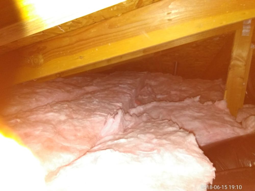 Photo of Pro Attic - B Green