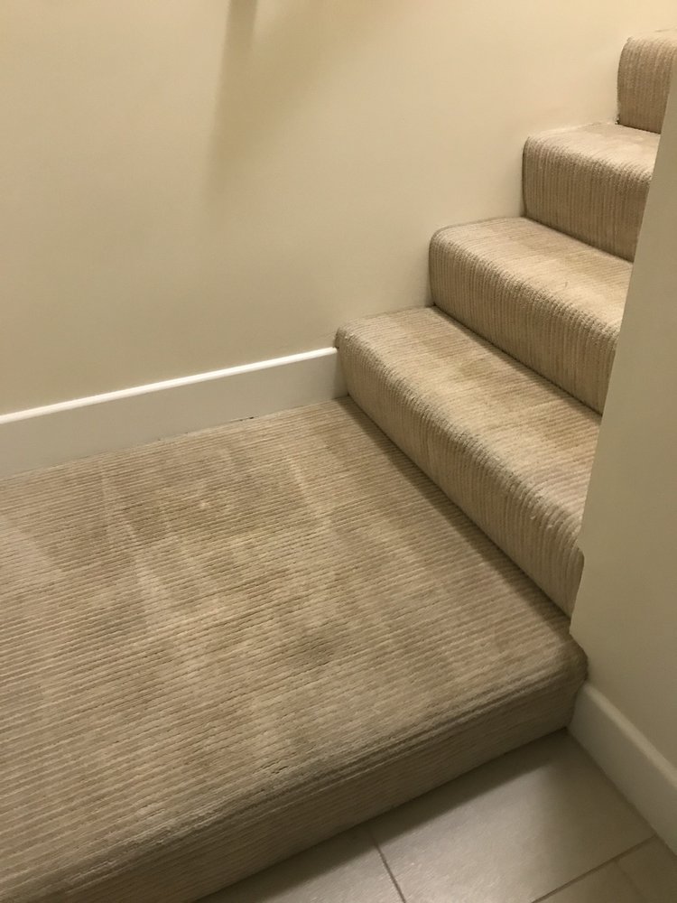 Photo of Rob's Organic Carpet Cleaning