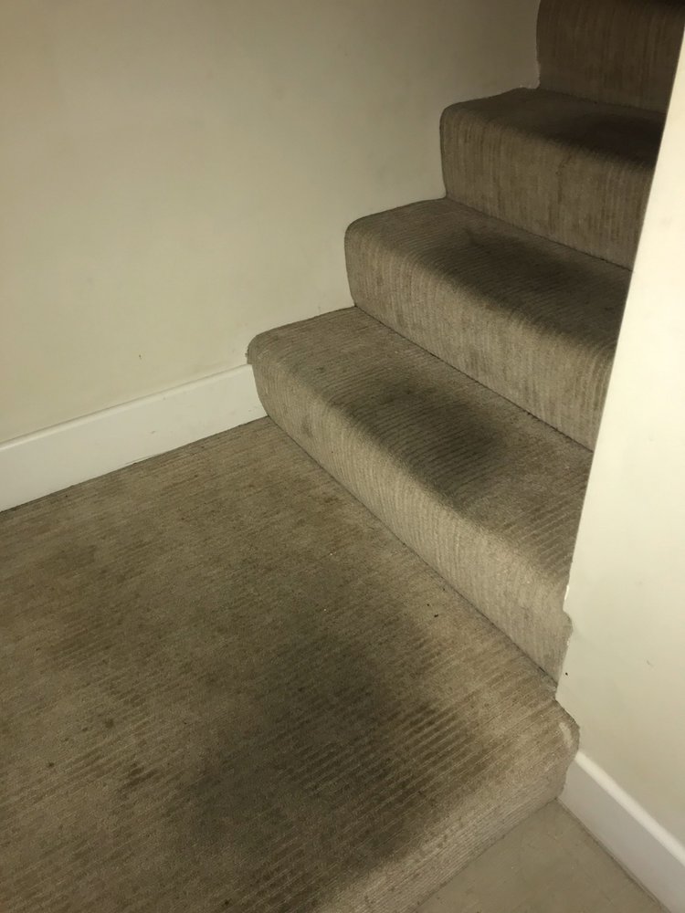 Photo of Rob's Organic Carpet Cleaning