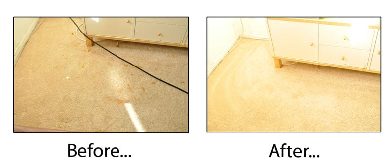 Photo of Rob's Organic Carpet Cleaning