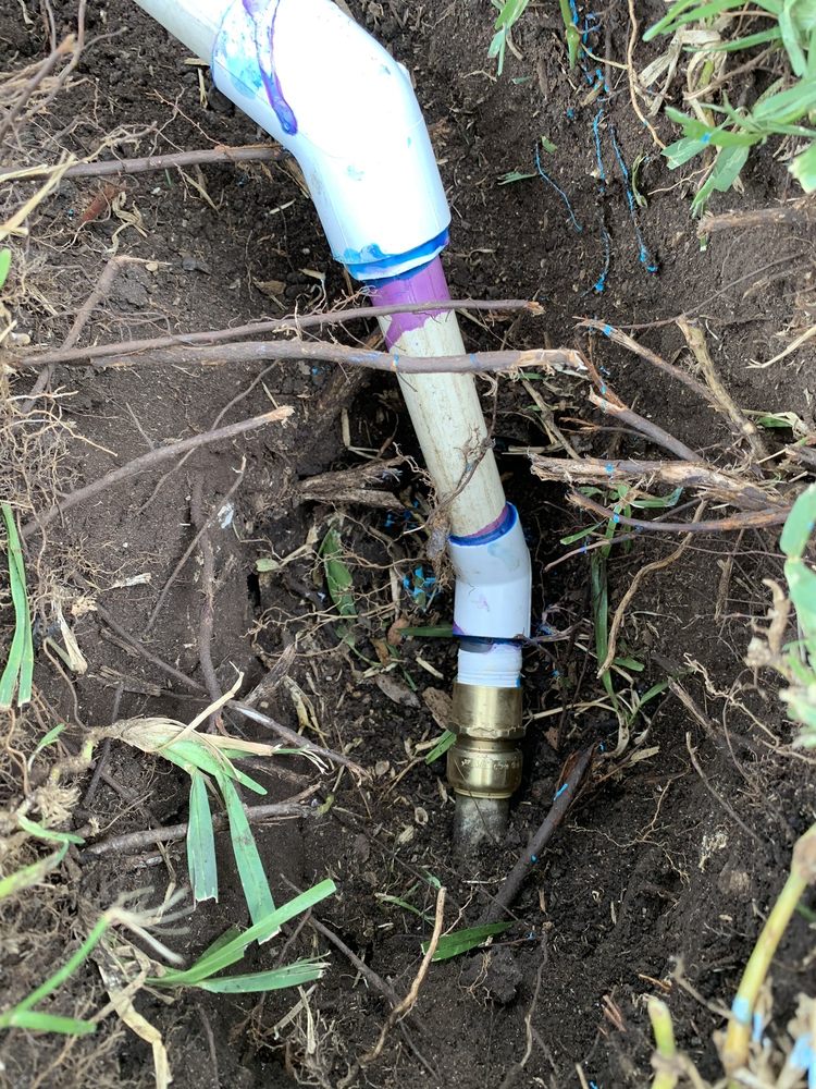 Photo of Texas Roots Landscape & Irrigation
