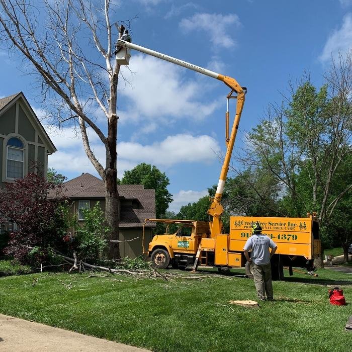 Photo of Creek Tree Service