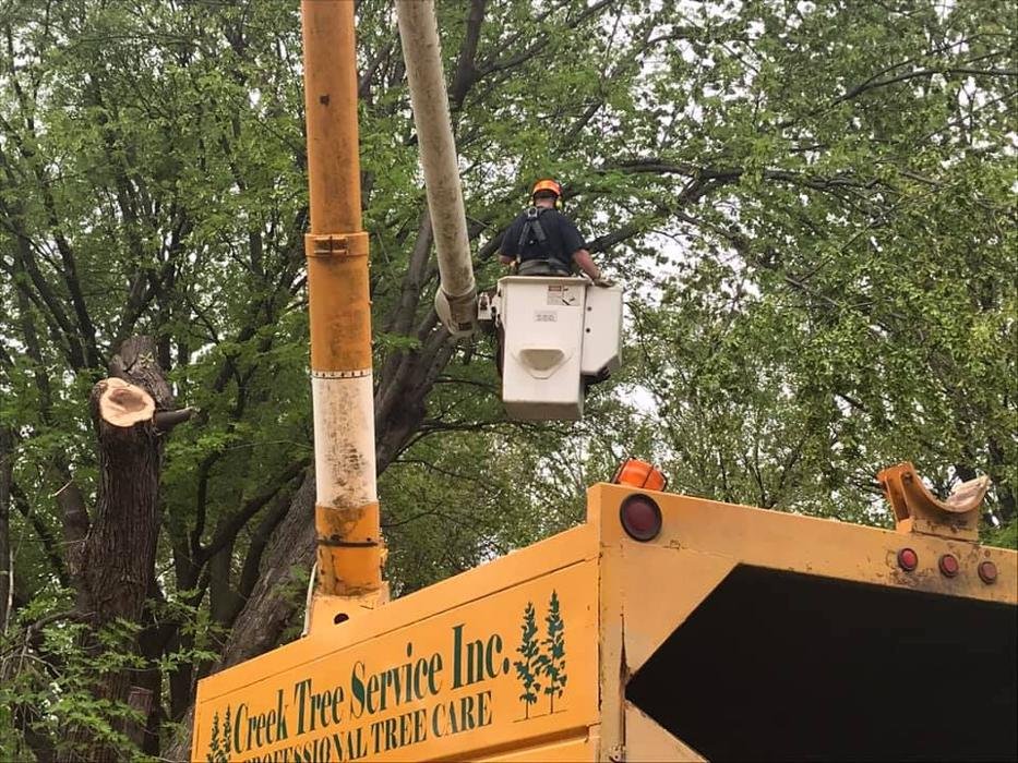 Photo of Creek Tree Service
