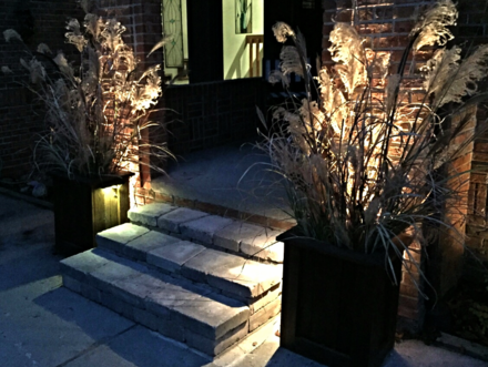 Photo of Lightscape Design