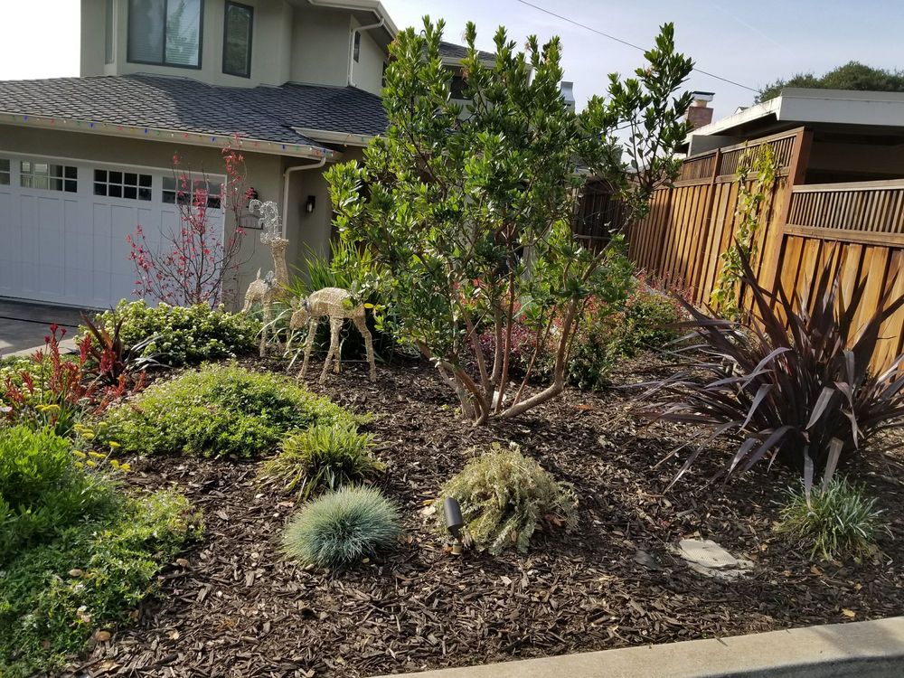 Photo of San Carlos GardenWorks