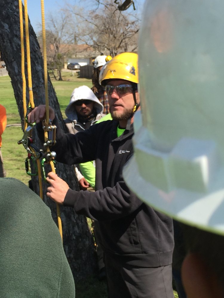 Photo of D & J Arborist Tree Services