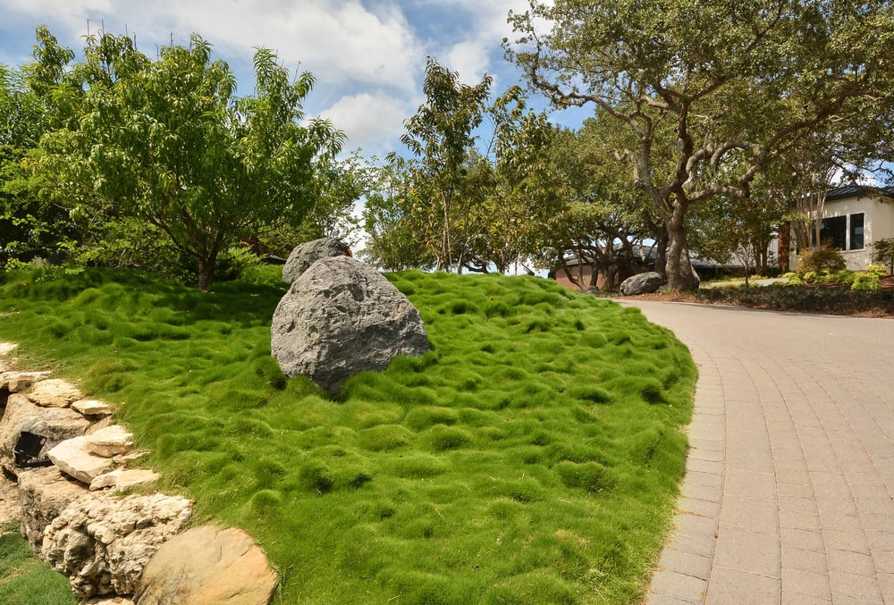 Photo of John Garrett Design