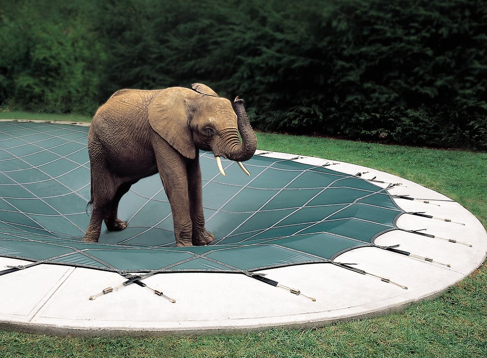 Photo of John's Pool Service
