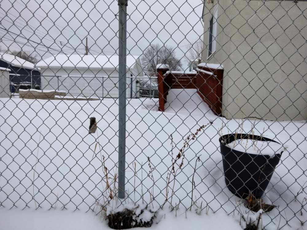 Photo of Martin Lawn Care