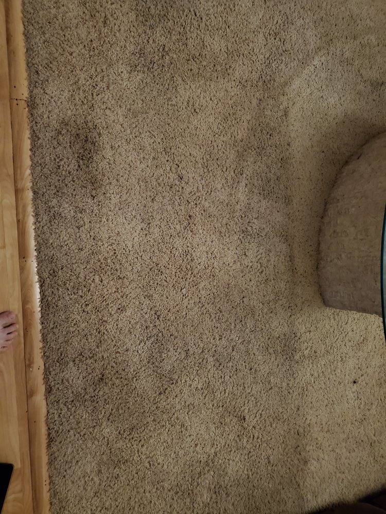 Photo of Steam 'N Clean