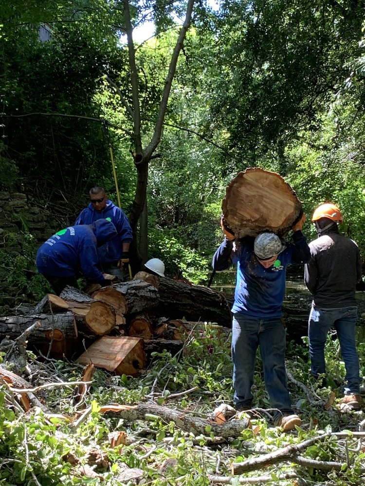 Photo of All Seasons Tree Care