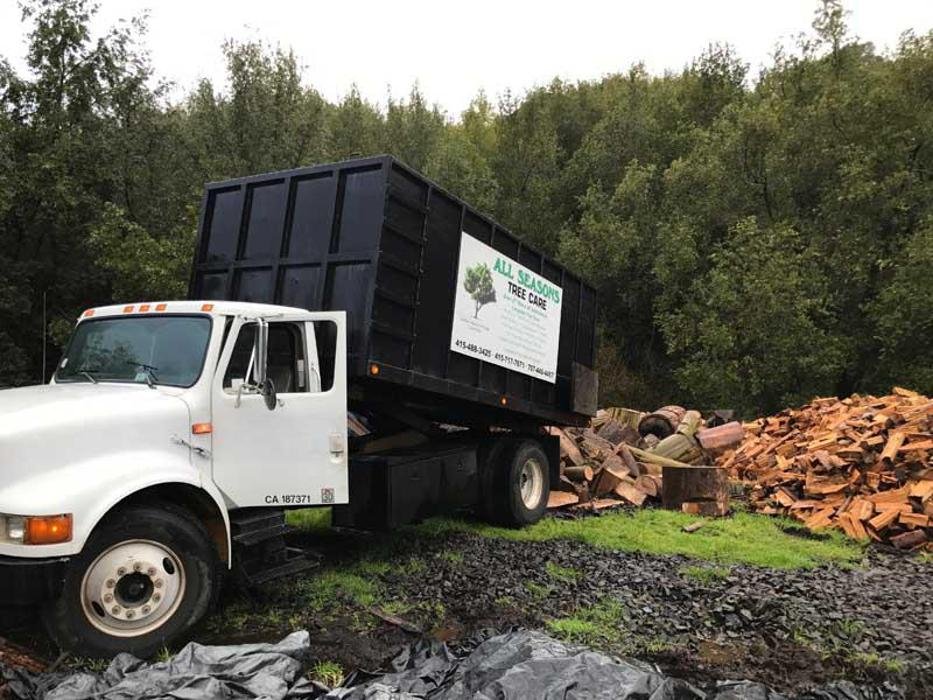 Photo of All Seasons Tree Care