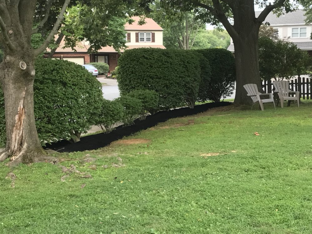 Photo of Ancone Landscaping